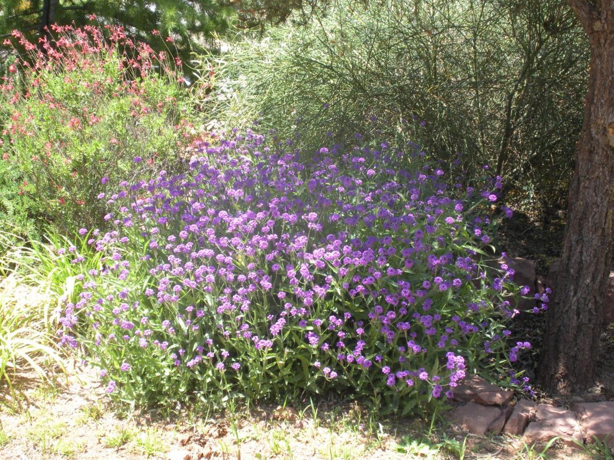 Alma De Sedona Inn B&B 외부 사진